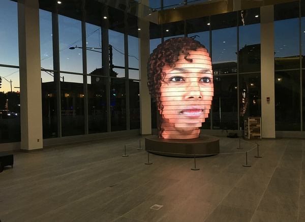 Face Shape LED Display – Highcolor LED